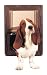 Pet Supplies : Petsafe Pet Door - Medium, Brown