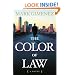 The Color of Law: A Novel