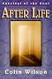 Afterlife