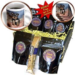 Dogs Toy Yorkie - Toy Yorkie Puppy - Coffee Gift Baskets - Coffee Gift Basket