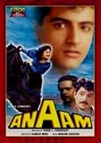 ANAAM - ARMAN KOHLI, AYESHA JHULKA - DVD