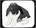 Decorated Mouse Pad with domestic, vadur, bunny, pet, rabbit, animal, floppy, ears