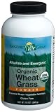 Amazing Grass Organic Wheat Grass Powder, 8.5-Ounce Canister