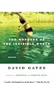 The Wonders of the Invisible World