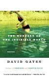 The Wonders of the Invisible World