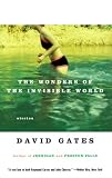 The Wonders of the Invisible World