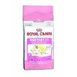 ロイヤルカナン FHN ベビーキャット 2Ｋｇ