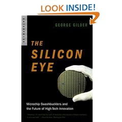 The Silicon Eye: Microchip Swashbucklers and the Future of High-Tech Innovation (Enterprise (W.W. Norton Paperback))