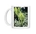 Photo Mugs of Rog-6009 Ostrich Fern from Ardea Wildlife Pets