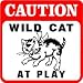 CAUTION: WILD CAT PROTECTIVE SERVICES sign