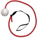 SPRI Softball Xertube