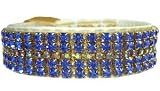 Sapphires and Gold Fancy Pet Collar : Size 4XL : Buckle Style Rhinestone Buckle