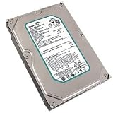 Item 919: Seagate ST3500630SV