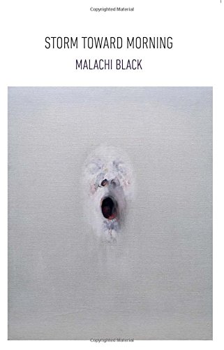 Storm Toward Morning