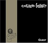 Guest
