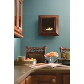 ProCom Wall-Mounted Vent-Free Fireplace - 6,000 BTU, LP, Model# PCR60M by 
