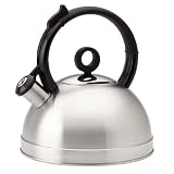 Review Wilton  / Andora Stainless Steel Teakettle