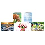 AvantiPressGreetingCardCollection10-Count,Blank(32016)