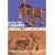 Carving Animal Caricatures (Dover books on woodworking & carving)