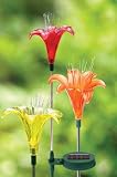 SOLAR LILY Flower Stake, LED Light