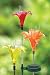 Exhart 53534 Solar Lily Flower Stake