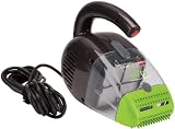 Pawsitively Clean Nifty Pet Hair Hand Vacuum