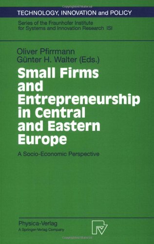 Small Firms and Entrepreneurship in Central and Eastern Europe: A Socio-Economic Perspective (Technology, Innovation and Policy (ISI))