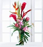 TROPICAL PARADISE(TM) ARRANGEMENT