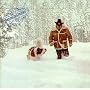 Snowblind Friend