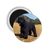 Bouvier des Flandres Refrigerator Magnet