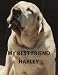 My Best Friend Harley