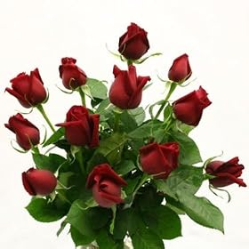 1 Dozen Red Roses