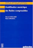 Mod�lisation num�rique des fluides compressibles