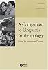 A Companion to Linguistic Anthropology (Blackwell Companions to Anthropology)