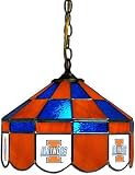 NCAA Illinois Fighting Illini 14 Tiffany Style Executive Hanging Lamp