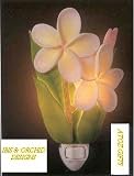 Flowers of Light Night Lights Plumeria Ibis & Orchid Design