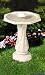 API 390 Water Rippling Bird Bath with Pedestal and Water Wiggler
