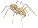 Tarantula - Woodcraft Construction Kit