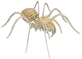 Tarantula - Woodcraft Construction Kit