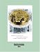 Why Confederates Fought (Volume 2 of 2) (EasyRead Super Large 20pt Edition): Family and Nation in Civil War Virginia