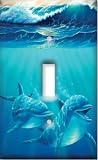 Decorative Switch Plate