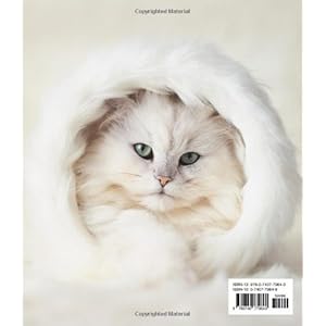 The Cat's Pajamas: 101 of the World's Cutest Cats