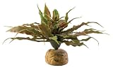 Hagen Exo Terra Star Cactus Terrarium Plant