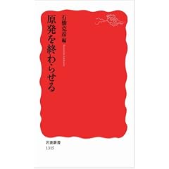 原発を終わらせる (岩波新書)