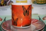 Houseware Demitasse Butterfly Design Classic Coffee Espresso Cups and Saucers, Set of 6