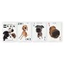 The Dog Playing Cards