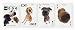 Sporting Goods : The Dog Playing Cards