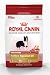 Royal Canin Dry Dog Food, Medium Active Special 25 Formula, 30-Pound Bag