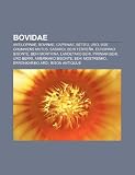 Bovidae: Antilopinae, Bovinae, Caprinae,