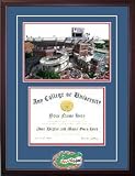 Florida Gators, The Swamp Spirit "Graduate" Frame With Lithograph And School Logo